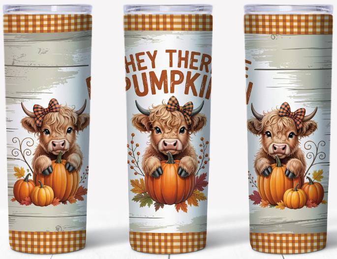 Hey There Pumpkin 20oz Skinny Tumbler | Johanna Lesley Creations