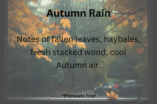 Autumn Rain Soy Wax Melts