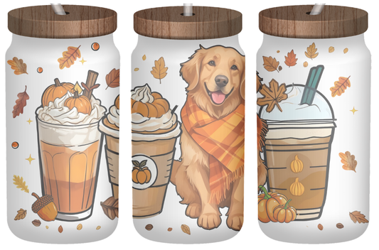Cozy Paws & Pumpkin Spice