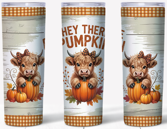 Hey There Pumpkin 20oz Skinny Tumbler | Johanna Lesley Creations