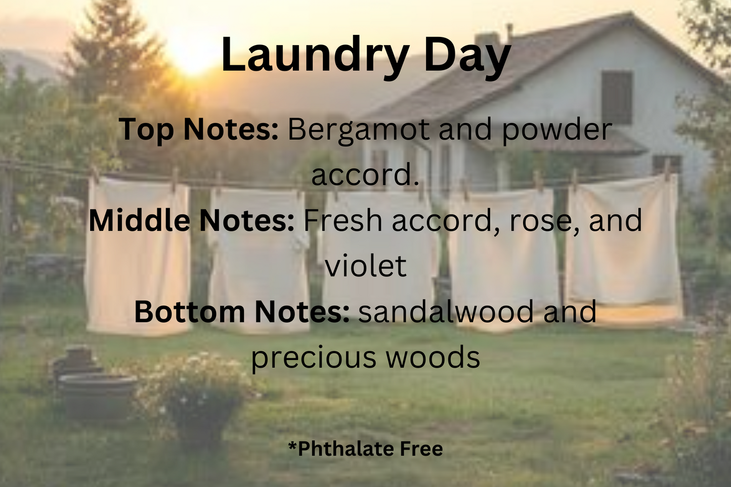 Laundry Day Soy Wax Melts